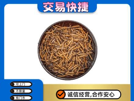 海南文昌市高价回收散虫草